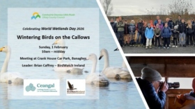World Wetlands Day 2026 | The Heritage Council