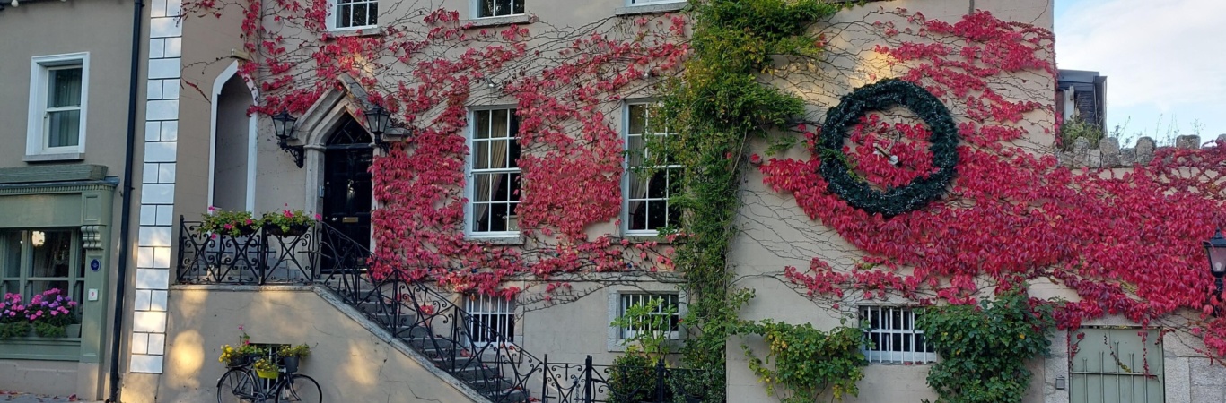 1 1946846 Step House Borris