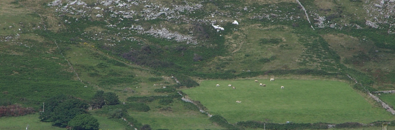 Muntermellan 11 08 1