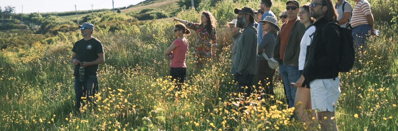 Nature restoration workshop with Sarah Broderick