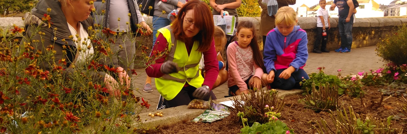 Wicklow Heritage Plan