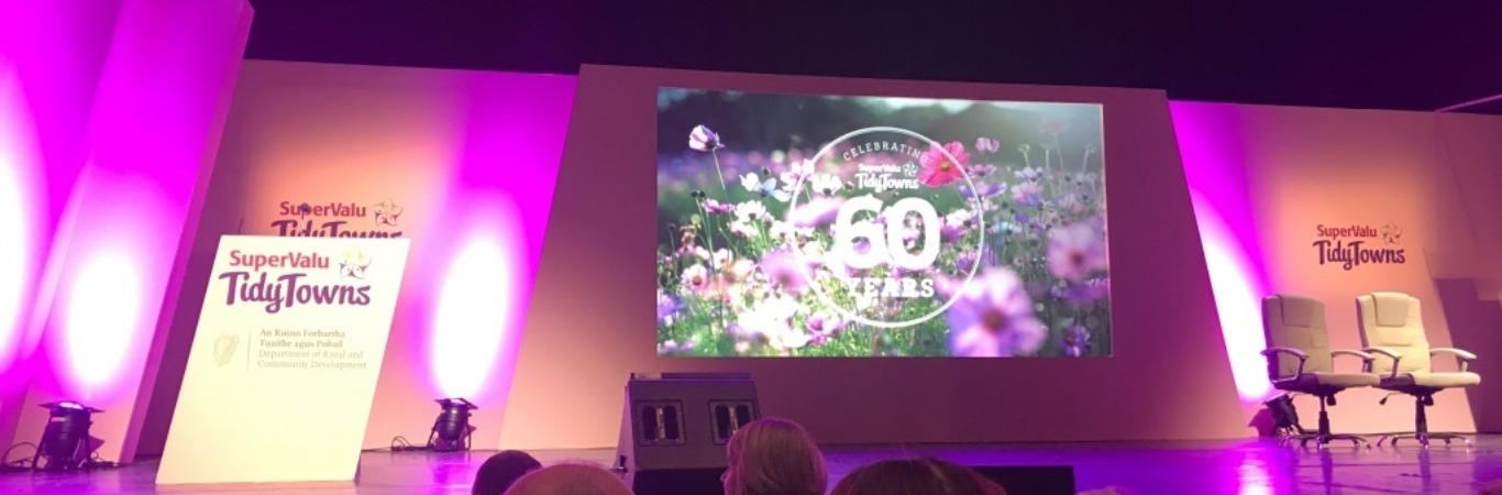 Tidy Towns 2018