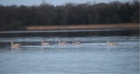 Lough Ennell