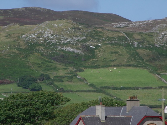 Muntermellan 11 08 1