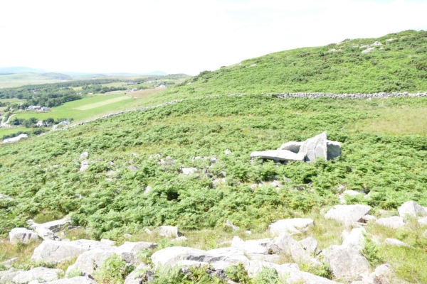 Muntermellan Horn Head 2