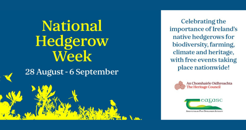 Hedgerow Website 7