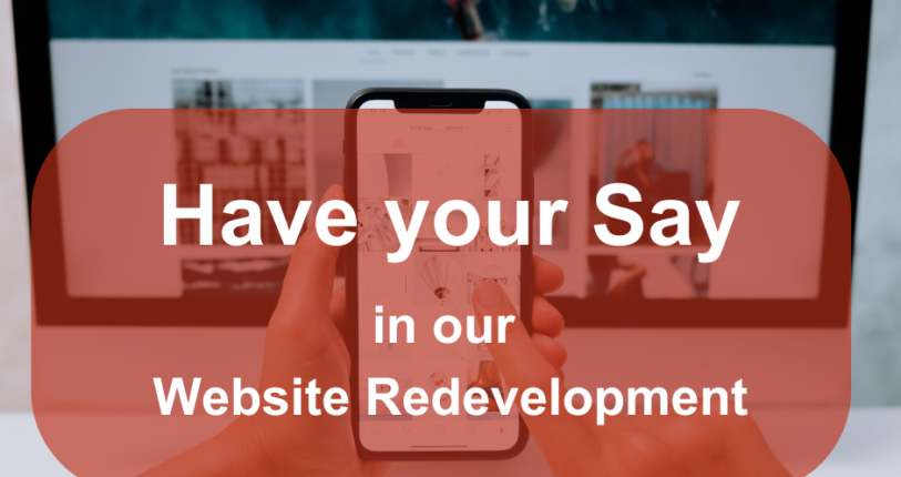 Website development