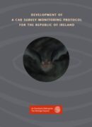 Development of a Car Survey Monitoring Protocall for Ireland