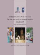 Irish walled Towns Network: Feedback