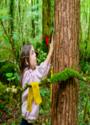 Sustainability Strategy 2026-2030